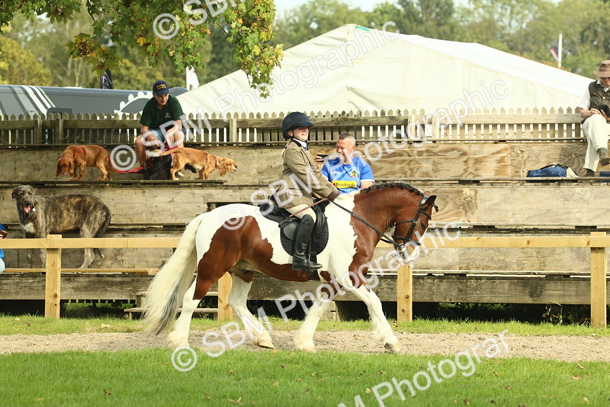 SBM_68190 - S58 - Mini Show Cob Ridden