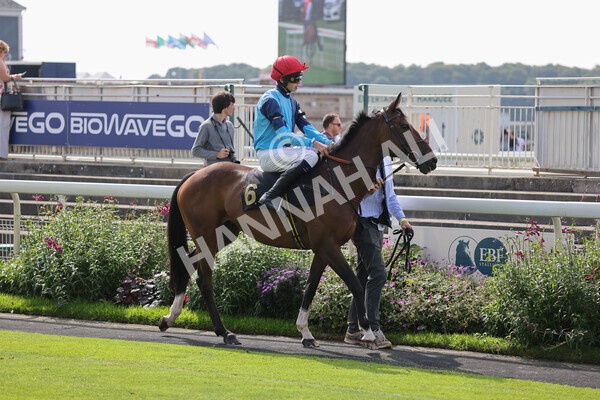 yr05092021rP-2 - Pony Races 138 and 148 cm