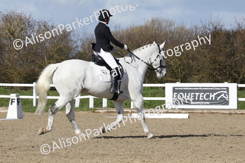 20260314-4890 - CT6 - Elementary 1