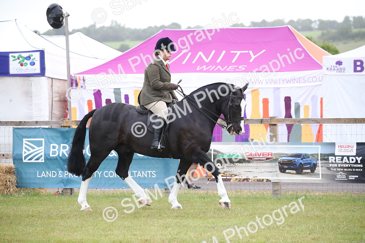 SBM_11043 - Class 92-93 - LIHS BSHA Rising Star Cobs