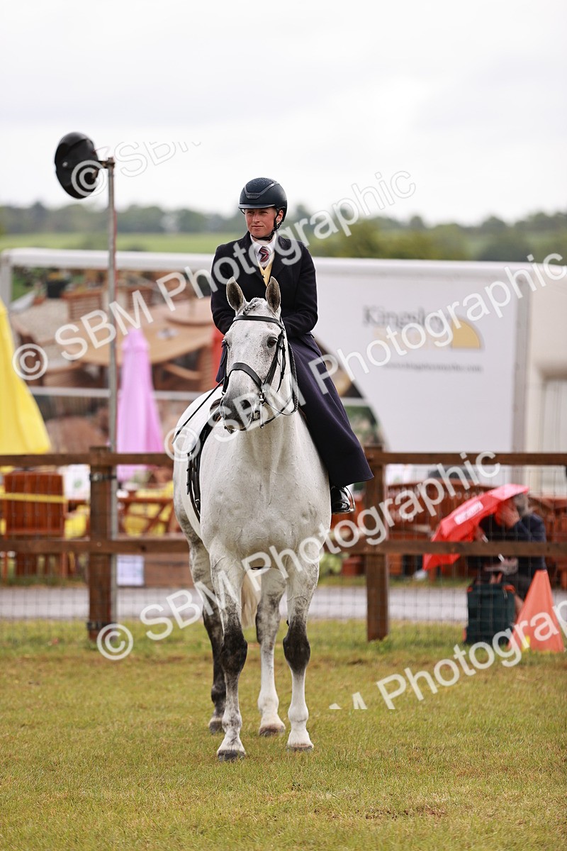 SBM_11007 - Class 81-84 - RIHS Ridden hunters Inc Ladies Hunter