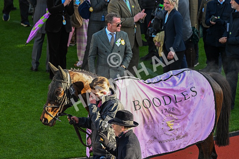 130326-Race 5-Gaelic Warrior-2964 - 13th March