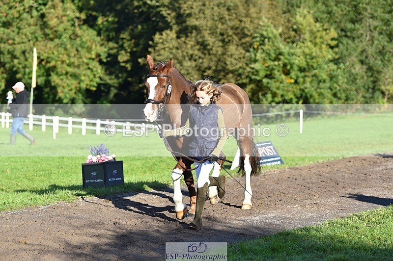 231022-100510-22235 - 432-DALEY-Oona.Gowan-TrotUp+SJ