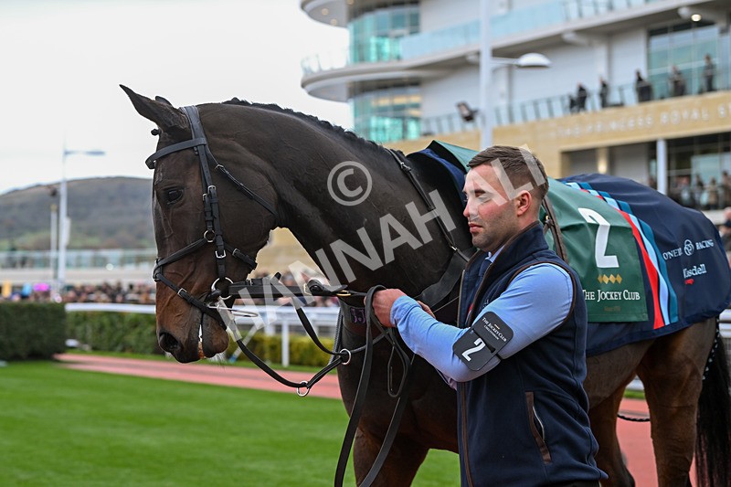 171124-Race 1-Paddock-Country Park-2534 - Race 1