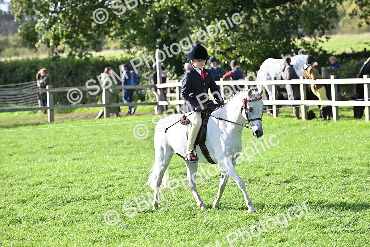 SBM_51252 - S22 - First Ridden show and show Hunter Pony
