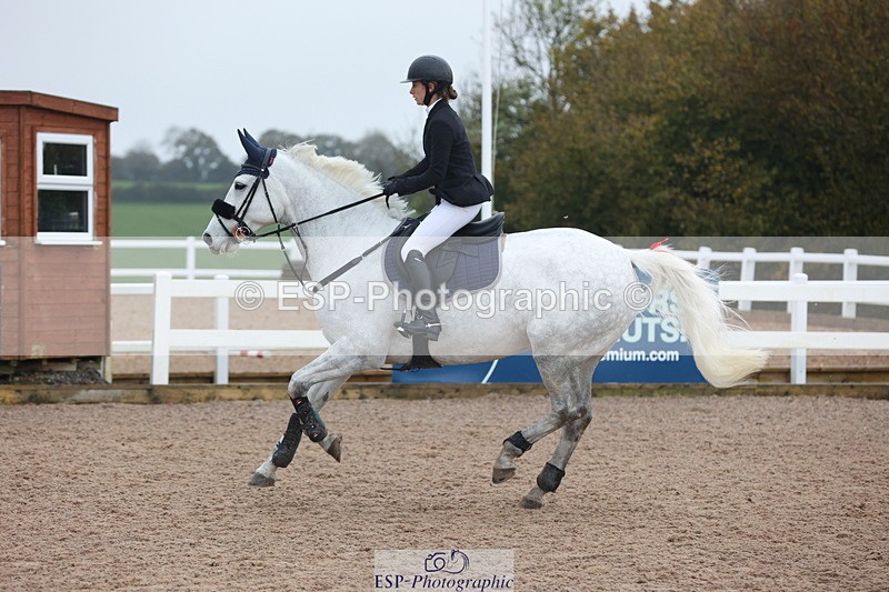231112A-100348-03179 - Cls 17 Blue Chip Novice Winter Qualifier