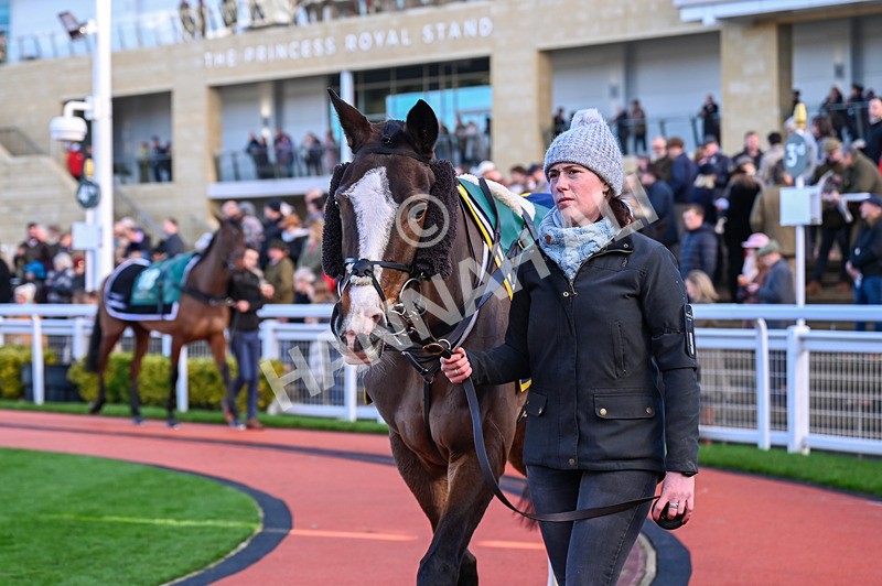 141224-Race 3-Theonewedreamof-0475 - Race 3