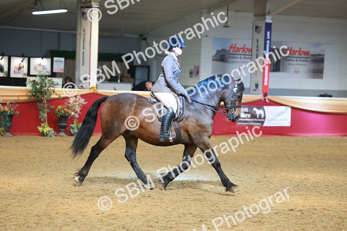 SBM_10642 - Class 103 - HOYS Veteran Qualifier - Ridden Pre Vet