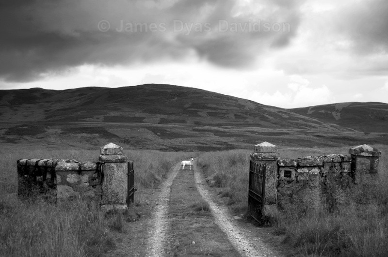 Morven Lodge gates - Glen Gairn