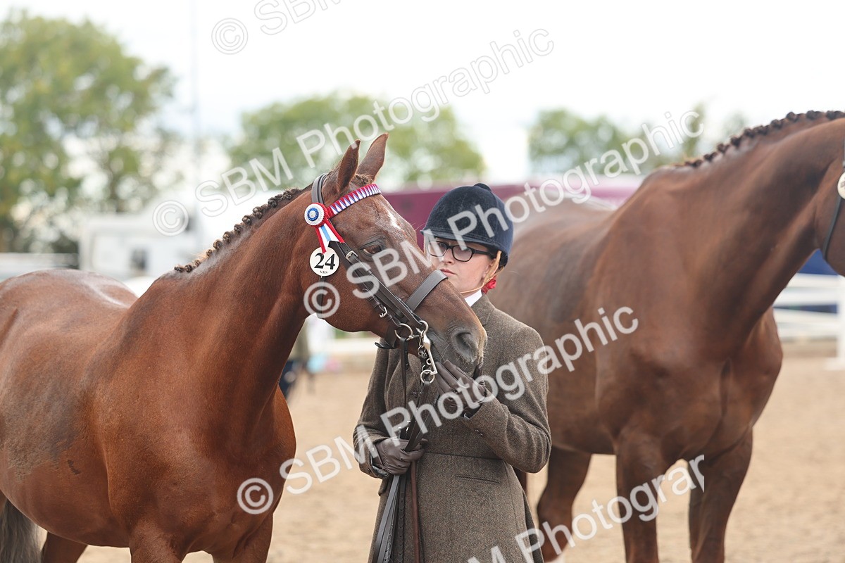 SBM_07827 - Class 27 - IH Competition Horse/Pony