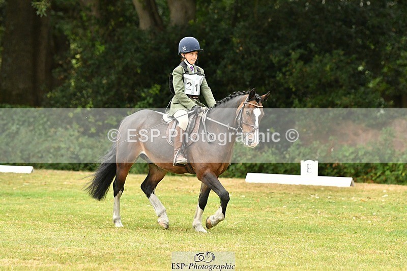 250820A-111217-04927 - 11am to 12