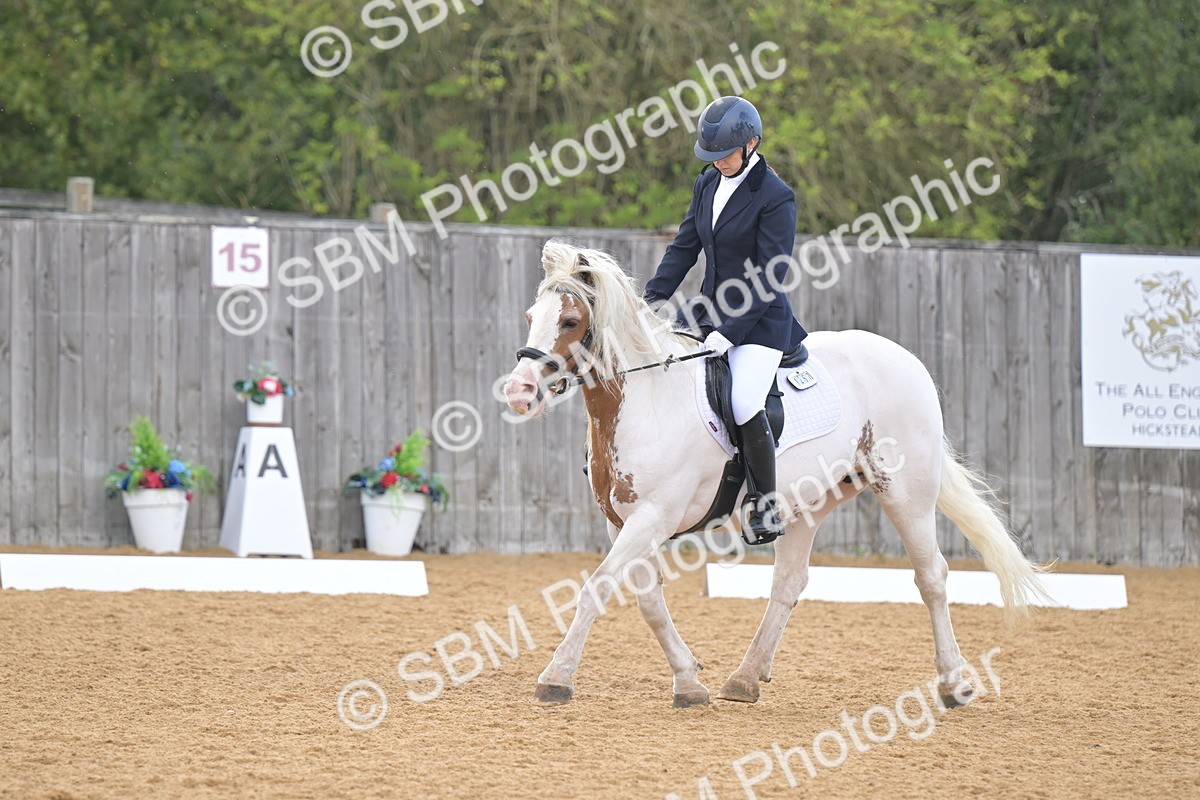 SBM_11216 - D3 - Small Tour Championship Intro 3