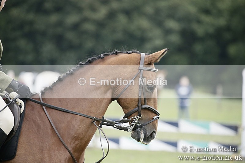 BVR090918 419 - BVRC Dressage and Show Jumping 09/09/18