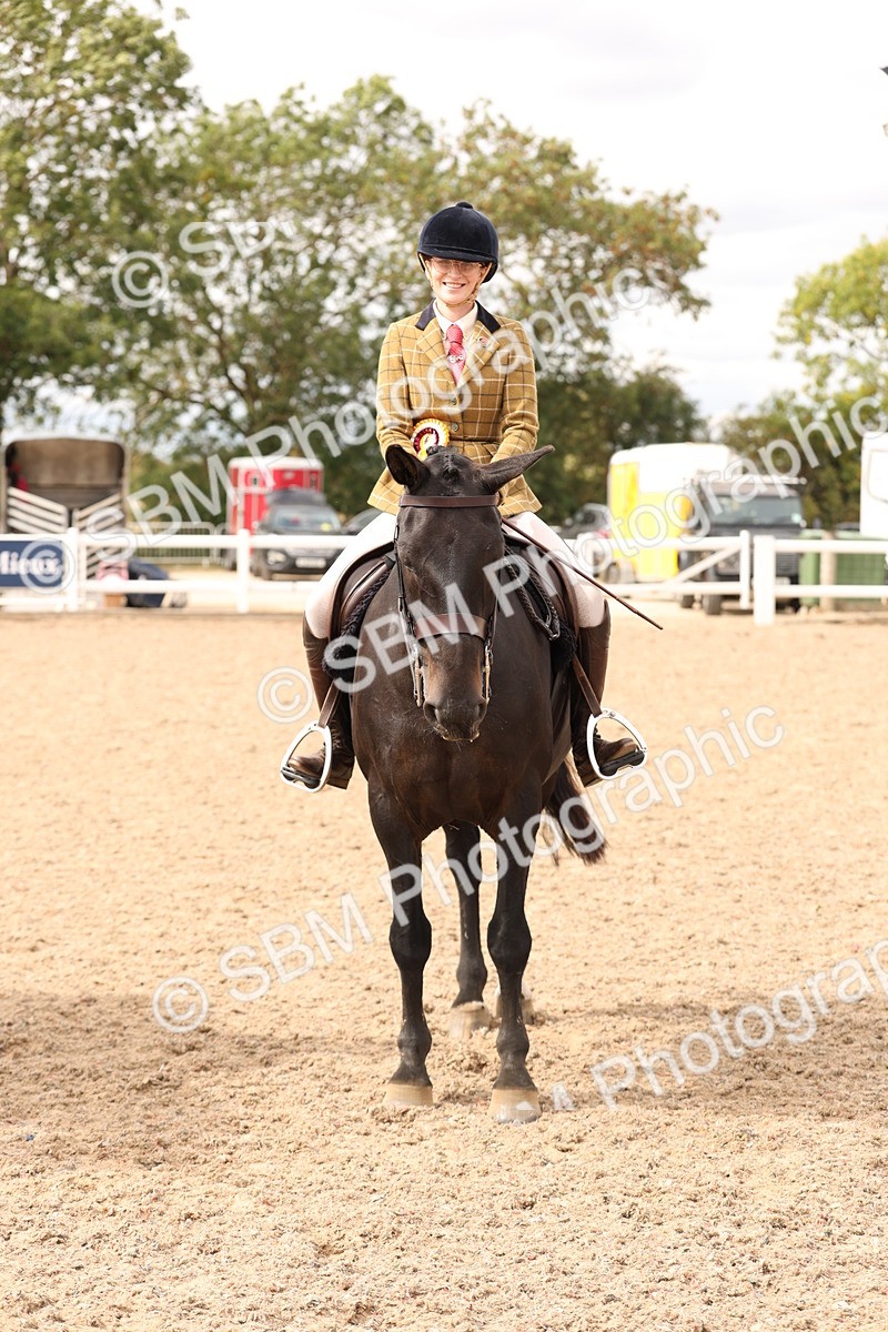 SBM_16535 - Class 212 - Ridden Hunter - Small