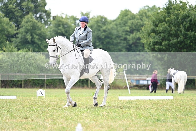 WJ7_5009 - Time 11:22 to 11:51