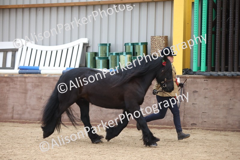 20251109-1150 - Championship