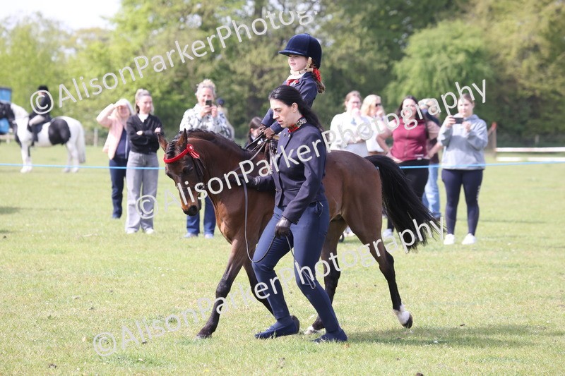 20260426-2581 - Class 31 - Leading Rein