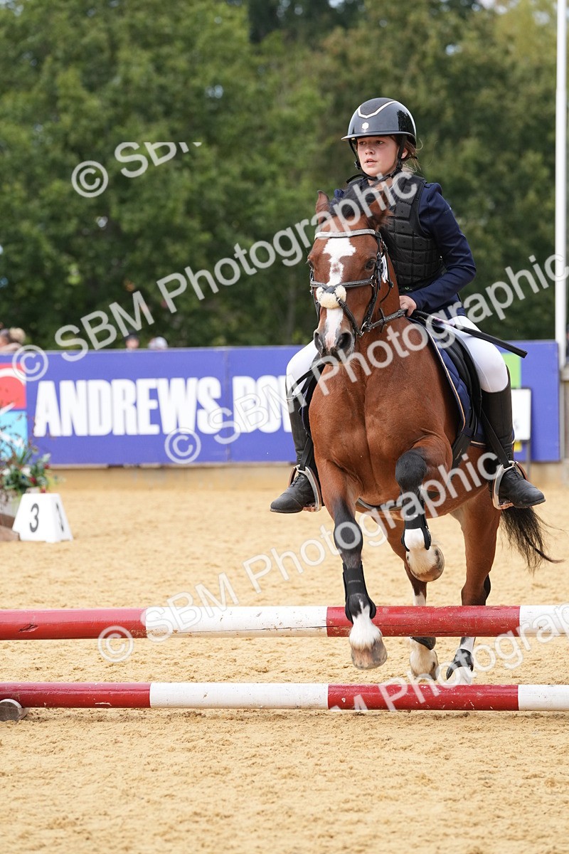 SBM_70670 - J3 - Mini Tour Junior Pony 40cm Championship
