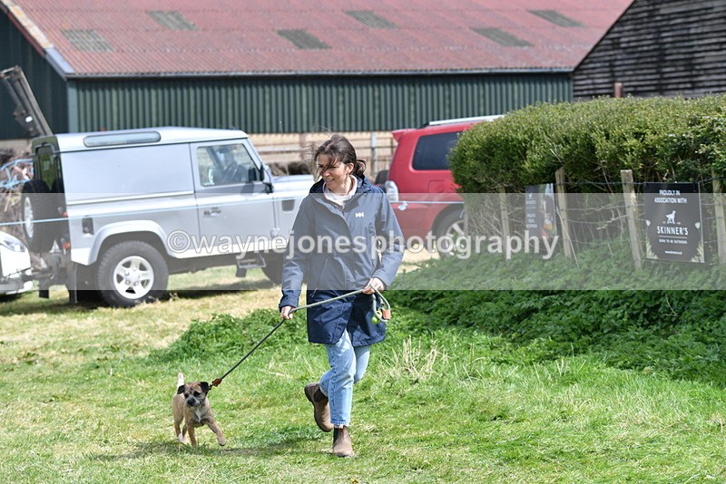 WJ5_0421 - Class 7 Best Terrier