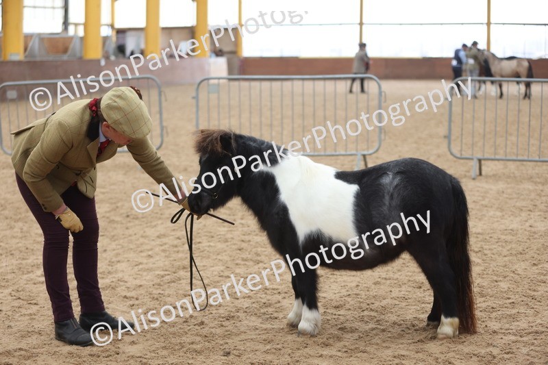 20251109-0238 - Class 11 - 2 and 3 Year Old