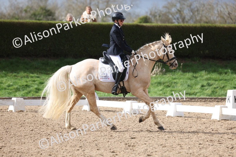 20260301-0641 - Class 4 - Novice 5