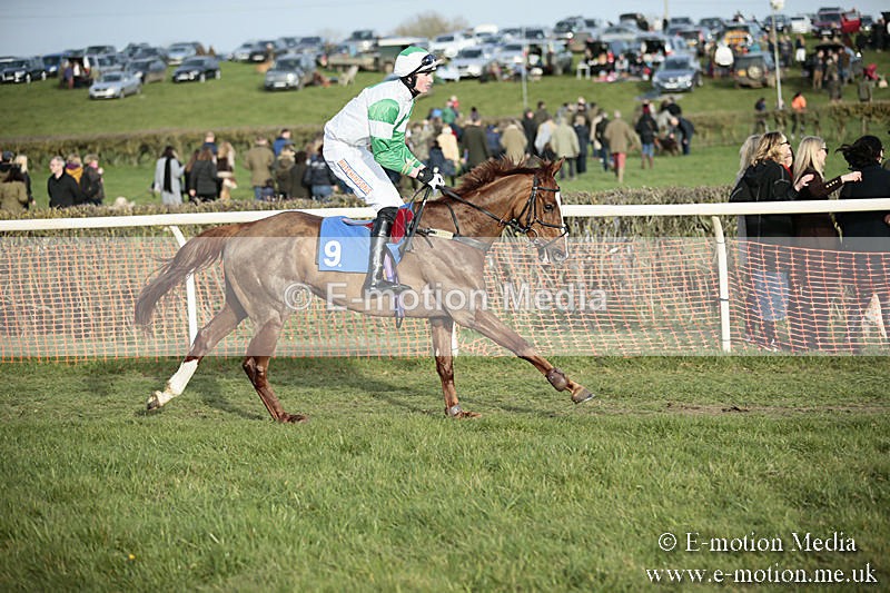 PtP 230319 513 - VWH Hunt Siddington Point-to-Point Racing 23/03/19