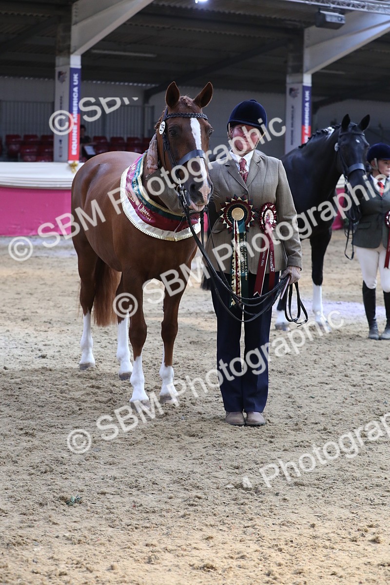 SBM_06572 - Regional IH Champ