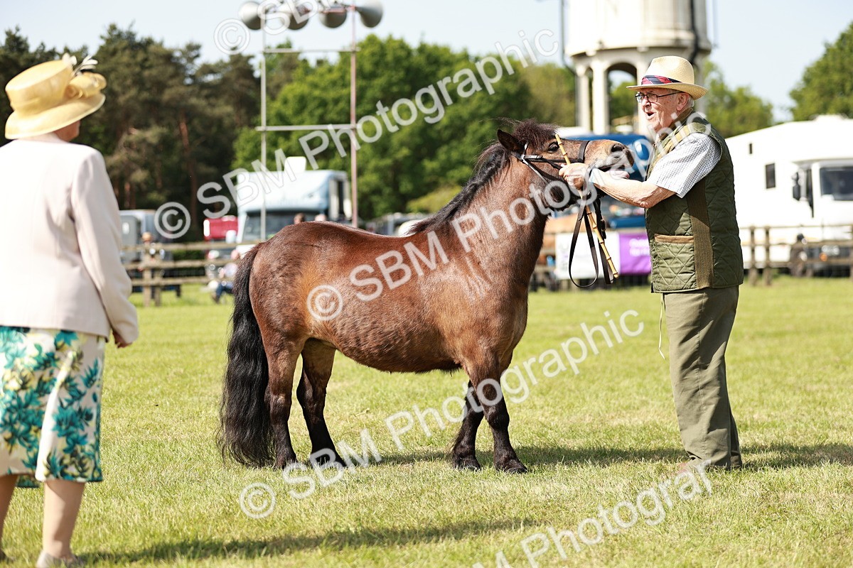 SBM_01831 - Class 14-23 - Mountain & Moorland In Hand Non Welsh