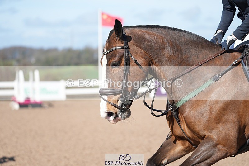 250329-101548-03580 - Cls 20 British Novice and 90cm