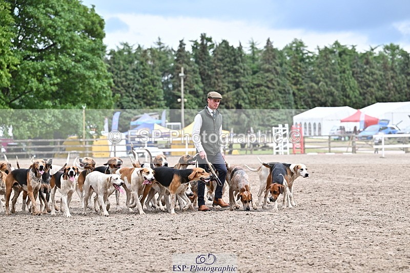 250524A-152211-12690 - East Devon Hounds