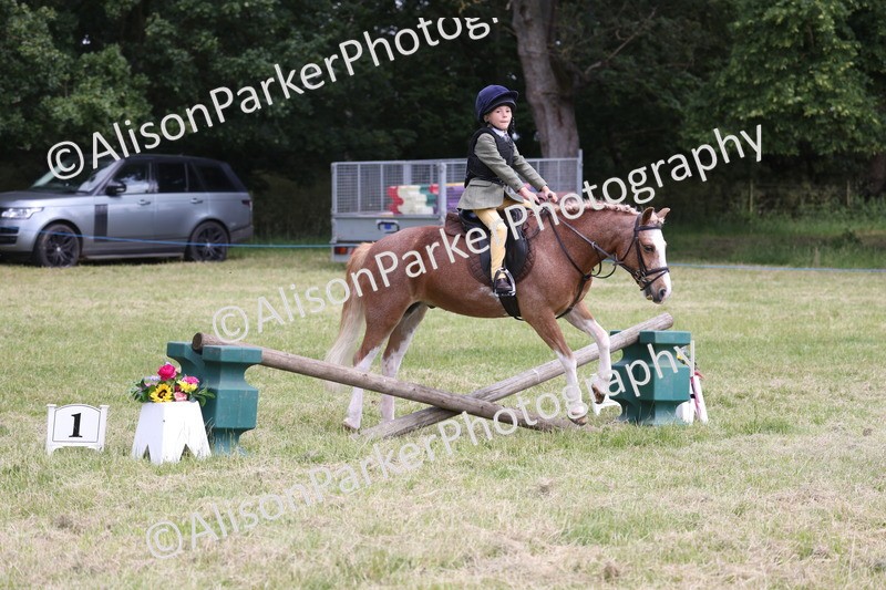 20260614-2032 - Class 21 - Novice Working Hunter Pony