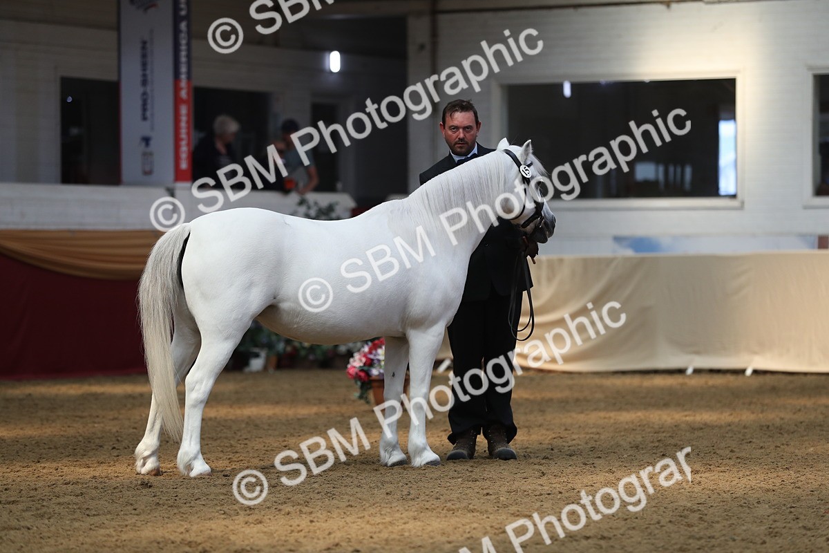 SBM_15284 - Class 501 M&M IH Supreme Final