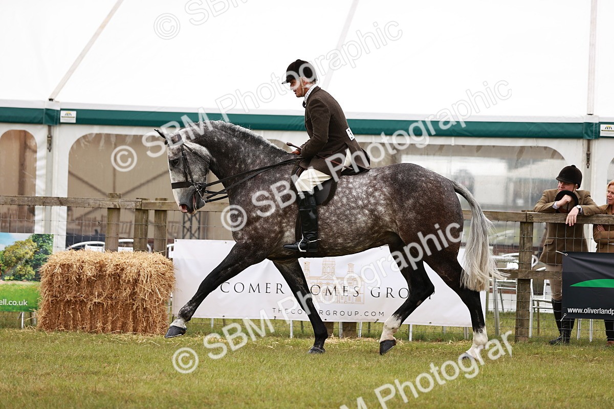 SBM_10929 - Class 81-84 - RIHS Ridden hunters Inc Ladies Hunter