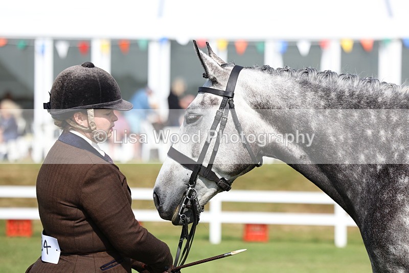 3E7A9090 - Class 3: Rising Star S/L Hunter