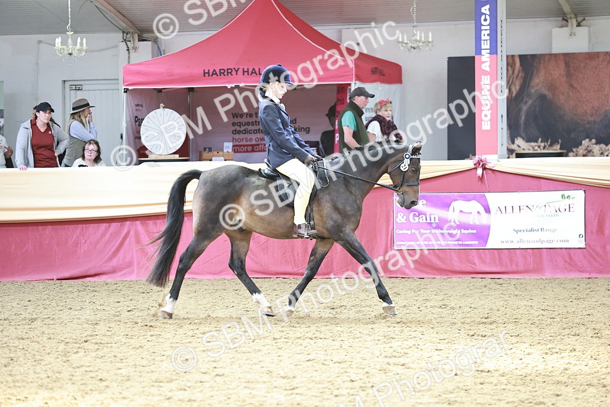 SBM_08297 - Class 11R - Regional Ridden Veteran