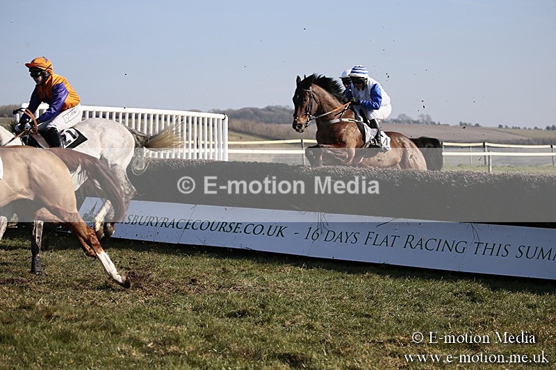 PtP 240218 354 - Vine & Craven Hunt Point-to-Point Barbury racecourse 24/02/18