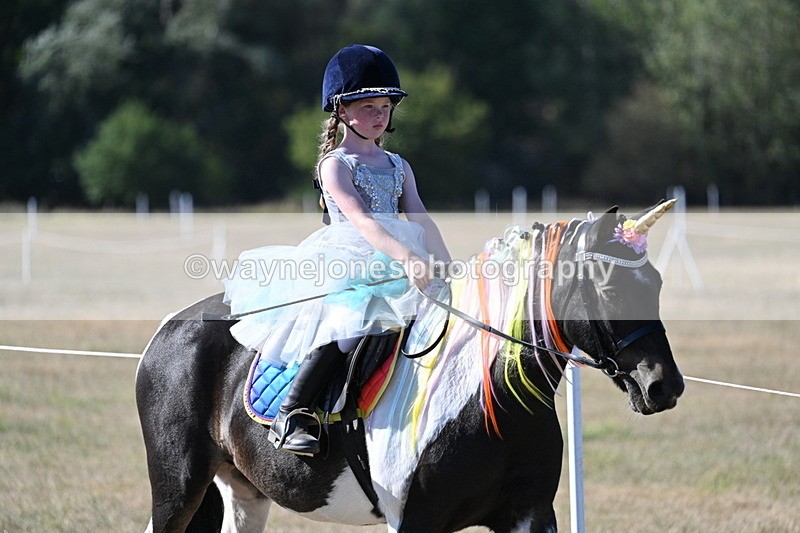 WJ7_2515 - Class 45 Fancy Dress (My Fav)