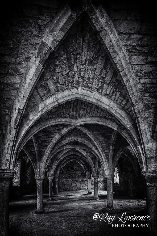 Battle Cloisters -RLP30188 - Close to Home