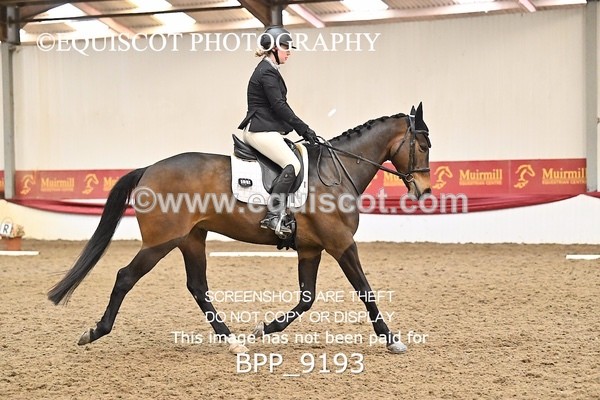 BPP_9193 - ELEM 6