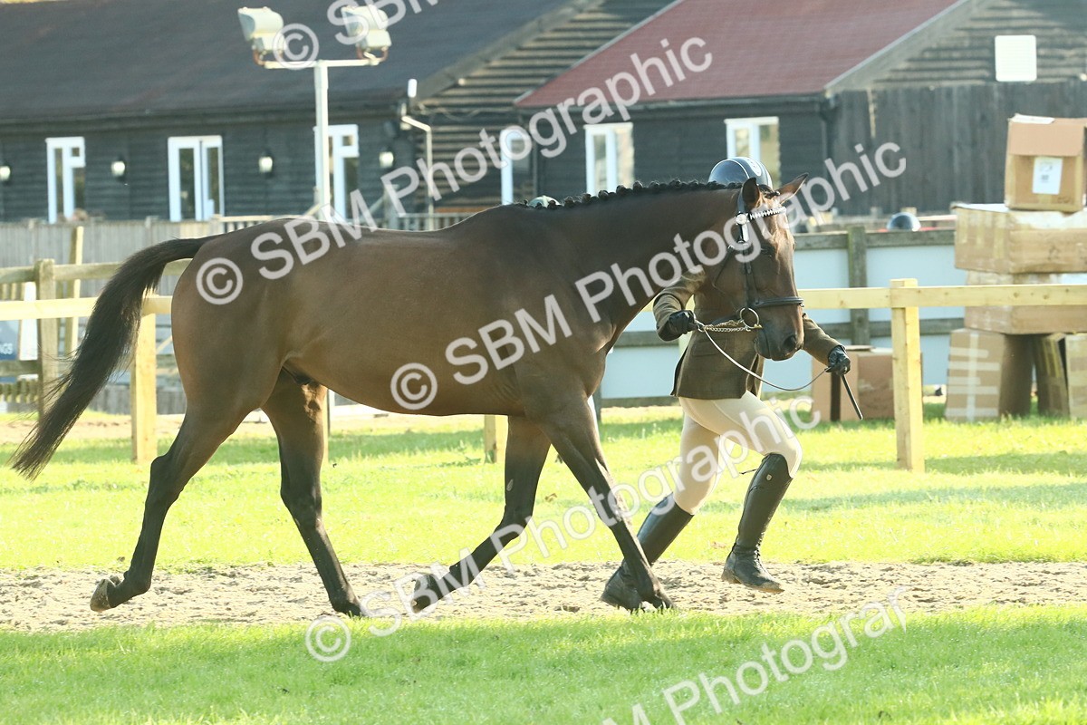 SBM_58560 - S37 - Starters In Hand Showing