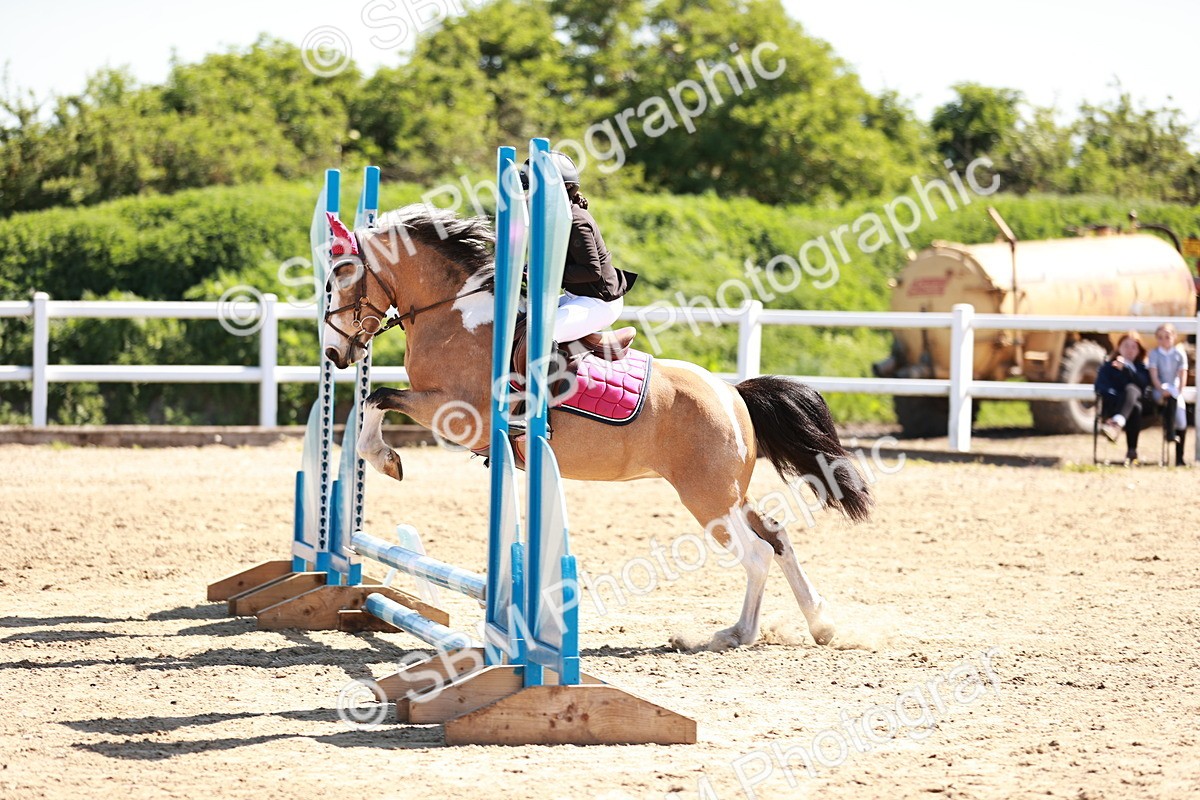 SBM_007003 - Class 2 - 50cm