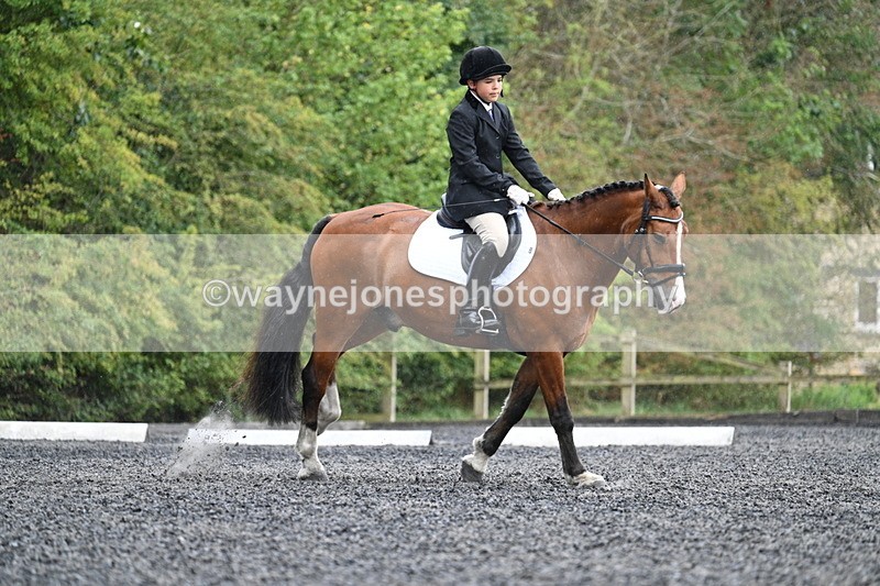 WJ7_6145 - Time 11:38 to 12:03