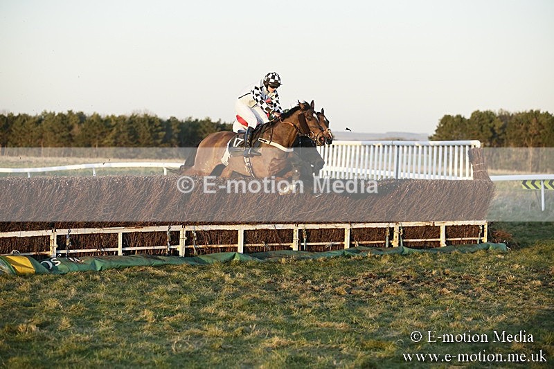PtP 070118 -828 - Larkhill Racing Club Point to Point Larkhill 07/01/2018