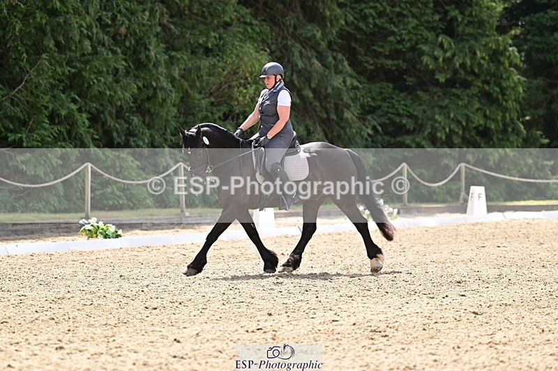 260802A-115436-06007 - Novice Silver break- end