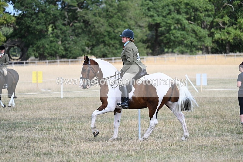 WJ7_7254 - Class 14 Ridden Coloured