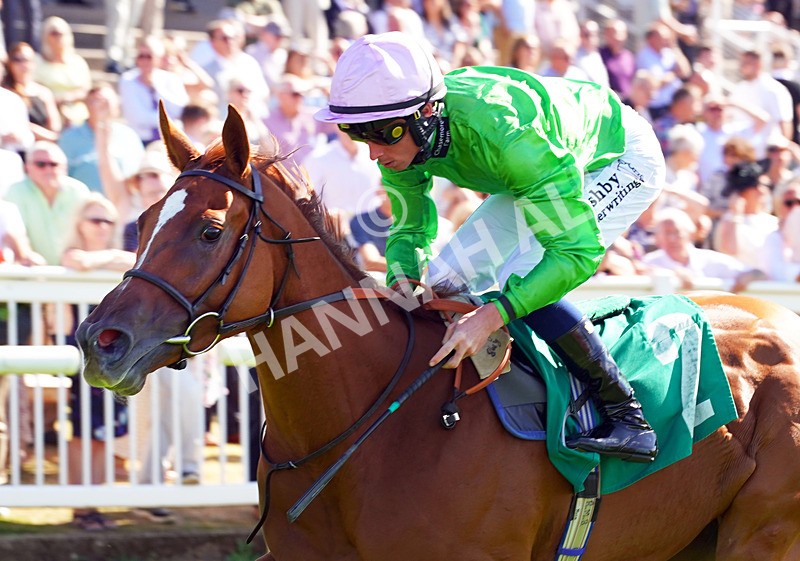 240726-Race 5-Zooella-01661 - Race 5 16.18pm NRFC Leading Roof Excellence Fillies' Handicap