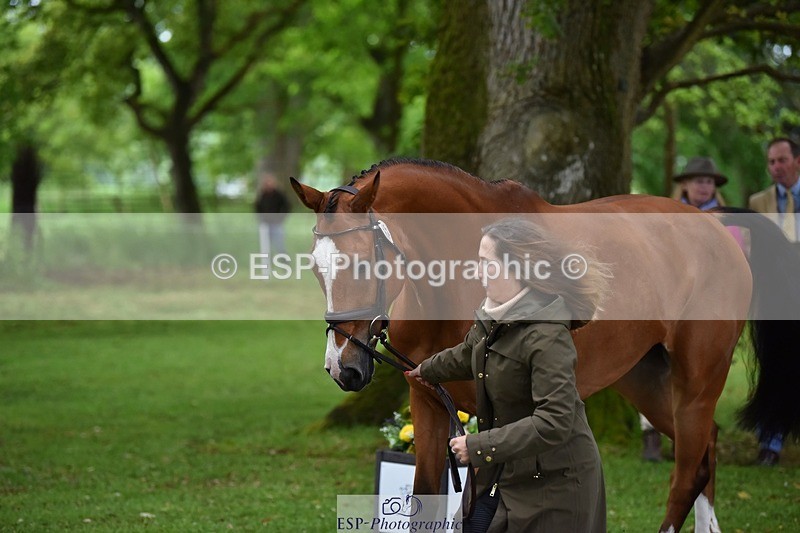 240522-171348-01464 - 255-BALANCERO-Laura_Collett