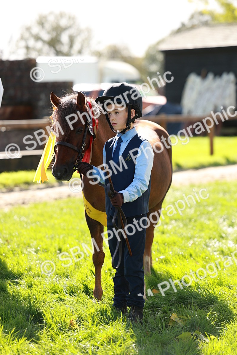 SBM_42181 - S32 - Mountain & Moorland Working Hunter Pony