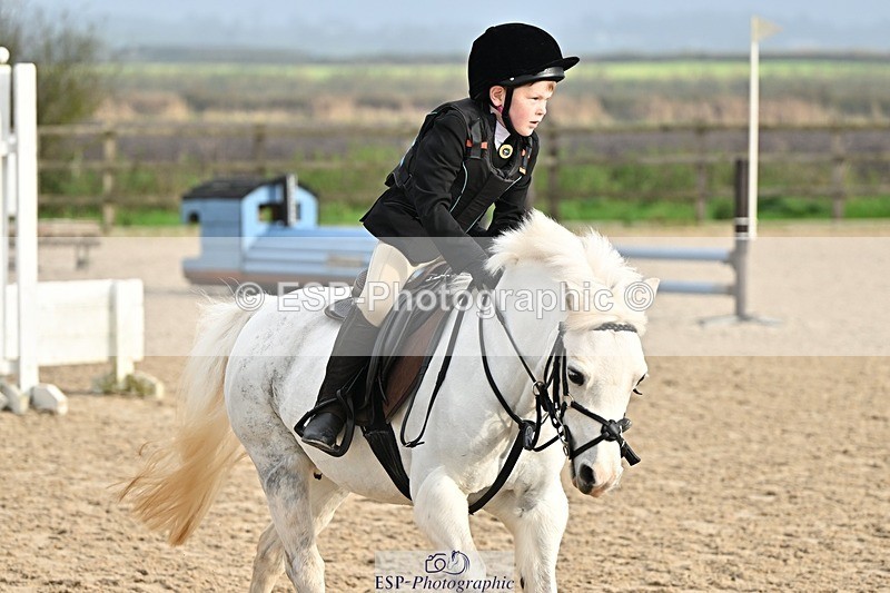 241110-103418-00346 - 40cm Showjumping