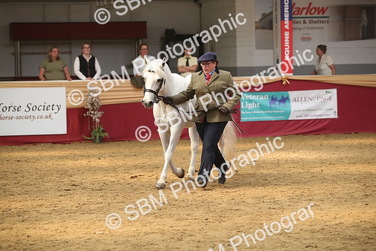 SBM_05621 - Class 9R - Regional IH Pre-Vet